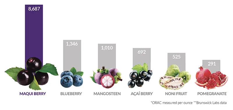 maqui berry health benefits